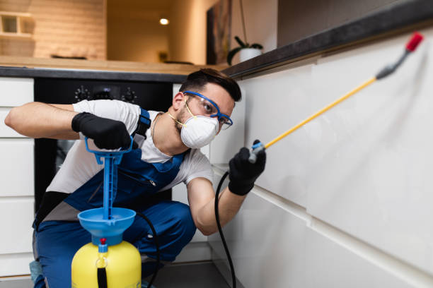 Best Affordable Pest Control Services  in Valparaiso, FL