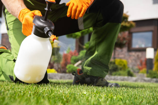Best Pest Control Near Me  in Valparaiso, FL
