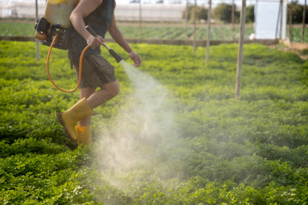  Valparaiso, FL Pest Control Pros