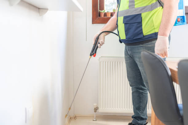 Best Termite Control Services  in Valparaiso, FL