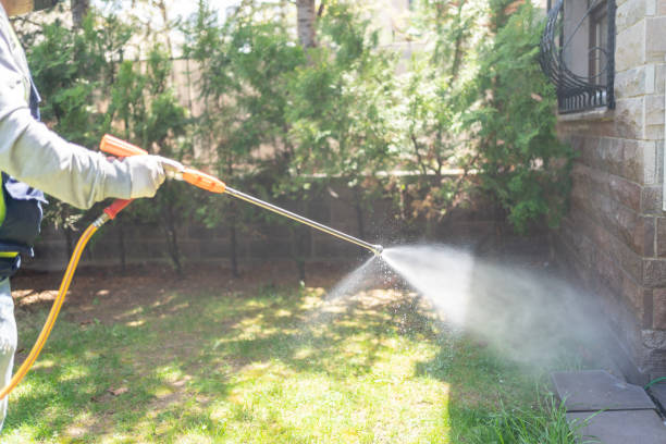 Reliable Valparaiso, FL Pest Control Solutions