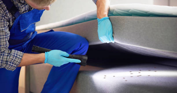 Best Commercial Pest Control Services  in Valparaiso, FL