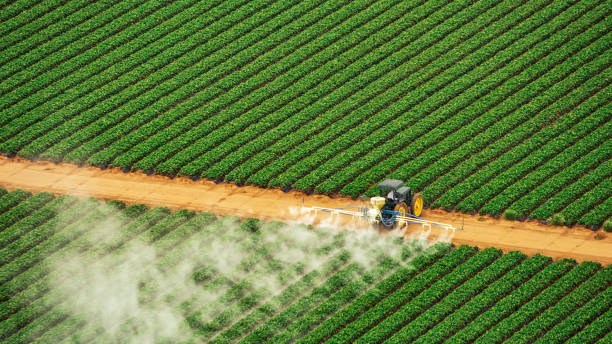 Best Best Pest Control Companies  in Valparaiso, FL