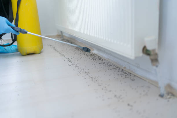 Best Bed Bug Extermination  in Valparaiso, FL