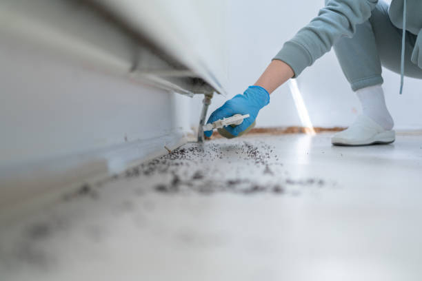 Trusted Valparaiso, FL Pest Control Experts